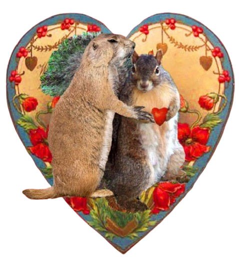 Ardillas románticas